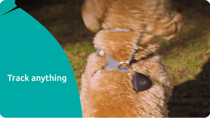 Monitor pets safely with AirBolt GPS collar attachment